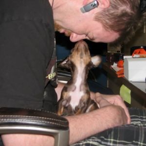 Meet your Posher, Tammy